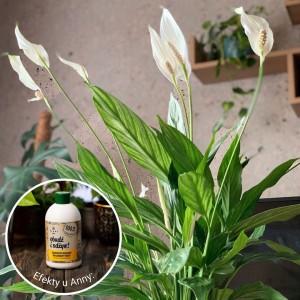 Efekty-Plantlover-3.jpg