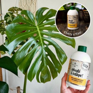 nawoz-z-banana-obudz-i-odzyw-plantlover-efekty-2.jpg