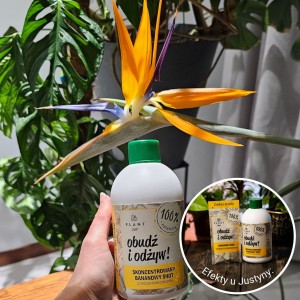 efekty plantlover nawóz z banana 2.jpg