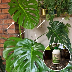 spraw by szybciej rosly plantlover efekty 5.jpg