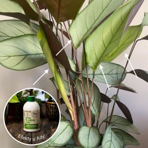 spraw by szybciej rosly plantlover efekty 7.jpg