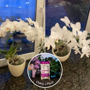 Efekty Plantlover-2.jpg