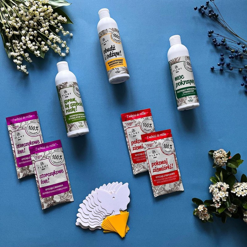 Prezent dla Roślinoholika - Box Platinum