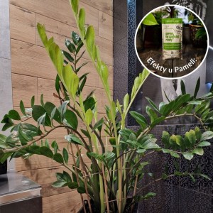 spraw by szybciej rosly 50 ml efekty plantlover nawoz stymulator 2.jpg