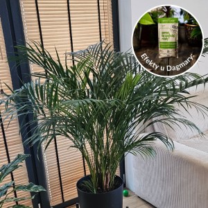 spraw by szybciej rosly 50 ml efekty plantlover nawoz stymulator 3.jpg