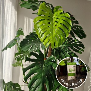 spraw by szybciej rosly 50 ml efekty plantlover nawoz stymulator 4.jpg