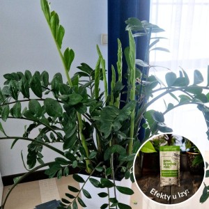 spraw by szybciej rosly 50 ml efekty plantlover nawoz stymulator 6.jpg