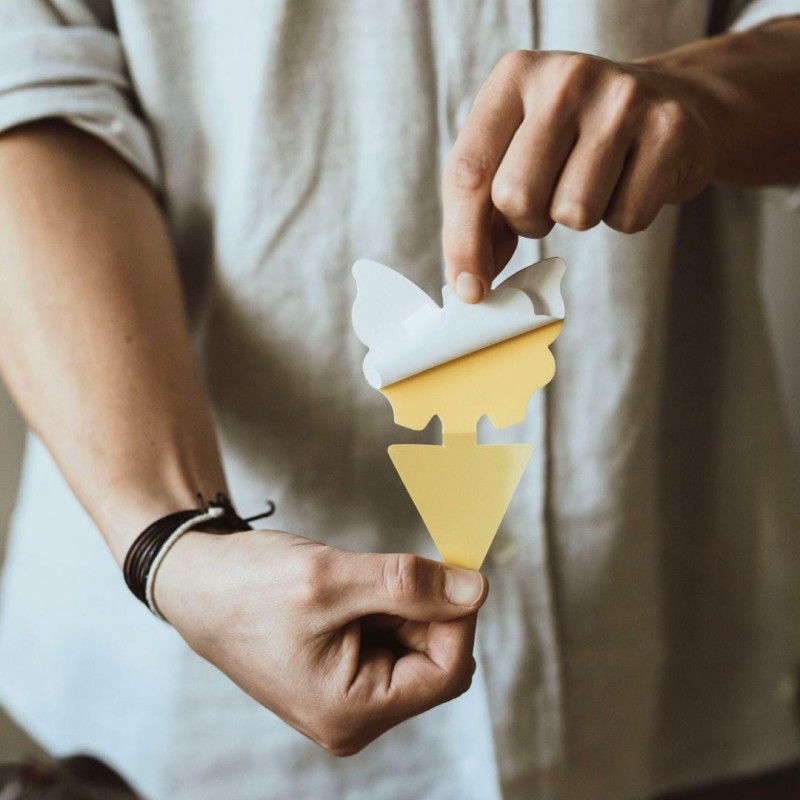 Lepy na ziemiórki - lepy do doniczek - 10 szt.