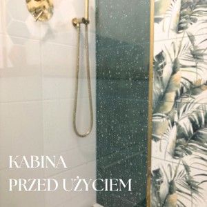 kabina pozegnaj zacieki i kamien 1.jpg