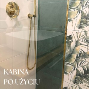 kabina pozegnaj zacieki i kamien 2.jpg