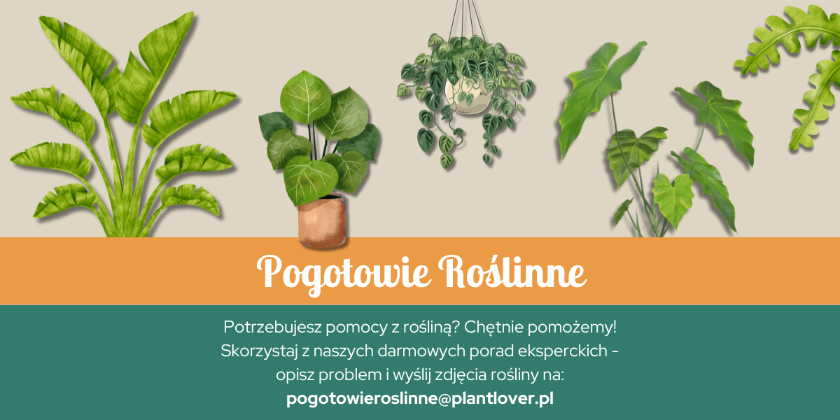 pogotowieroslinne@planlover.pl