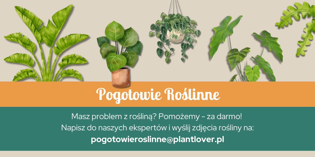 Baner pogotowia roślinnego